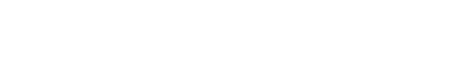 netnation logo white